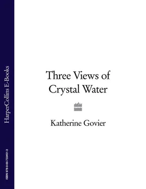 Katherine Govier Three Views of Crystal Water обложка книги
