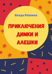 Влада Ревзина - Приключения Димки и Алешки