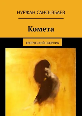 Нуржан Сансызбаев Комета. Творческий сборник обложка книги