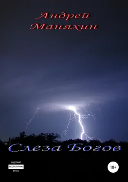 Андрей Маняхин Слеза Богов обложка книги