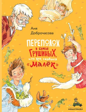 Анна Доброчасова Переполох в семье Грушиных, или Как появился «Малёк» обложка книги