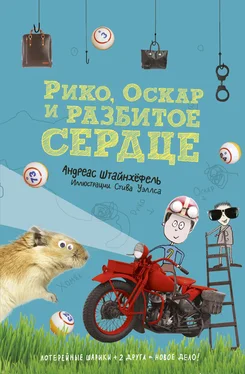 Андреас Штайнхёфель Рико, Оскар и разбитое сердце обложка книги