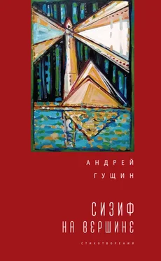 Андрей Гущин Сизиф на вершине обложка книги
