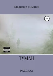 Владимир Яцышин - Туман