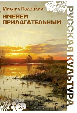 Михаил Палецкий Именем прилагательным (сборник) обложка книги