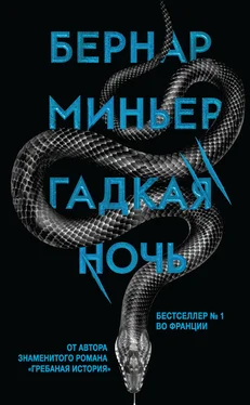 Бернар Миньер Гадкая ночь обложка книги