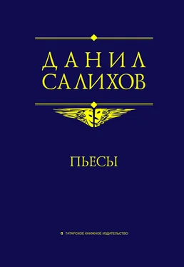 Данил Салихов Пьесы обложка книги