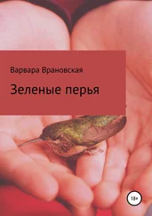 Варвара Врановская - Зеленые перья. Сборник рассказов