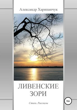 Александр Харипанчук Ливенские зори обложка книги