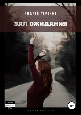 Андрей Терехов Зал ожидания (сборник) обложка книги