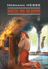 Hermann Hesse - Narziss und Goldmund / Нарцисс и Гольдмунд. Книга для чтения на немецком языке