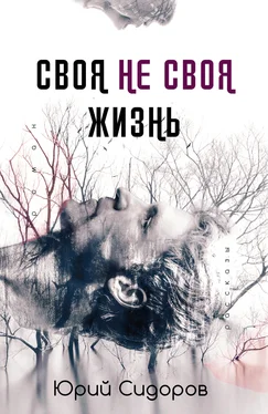 Юрий Сидоров Своя не своя жизнь обложка книги