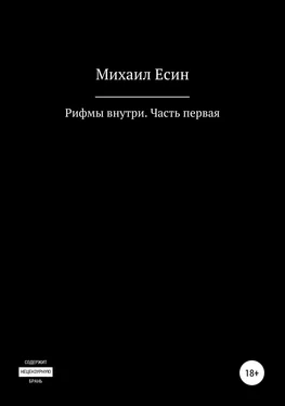 Михаил Есин Рифмы внутри. Часть первая обложка книги