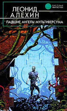 Леонид Алехин Падшие ангелы Мультиверсума обложка книги