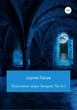 Сергей Панов Подземные миры Экзарии. Часть 1 обложка книги