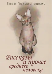 Ёнас Пакальнишкис - Рассказы и прочее среднего человека (сборник)