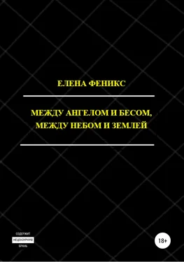 Елена Феникс Между ангелом и бесом, между небом и землей обложка книги