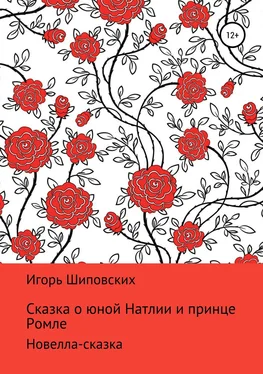 Игорь Шиповских Сказка о юной Натлии и принце Ромле обложка книги
