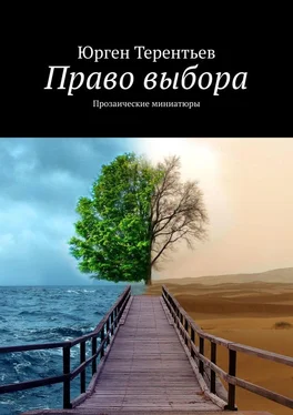 Юрген Терентьев Право выбора. Прозаические миниатюры обложка книги