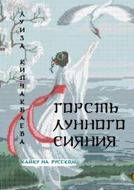 Луиза Кипчакбаева Горсть лунного сияния обложка книги