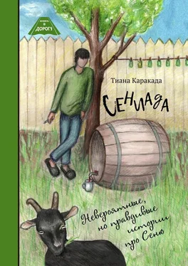 Тиана Каракада́ Сениада. Невероятные, но правдивые истории про Сеню обложка книги