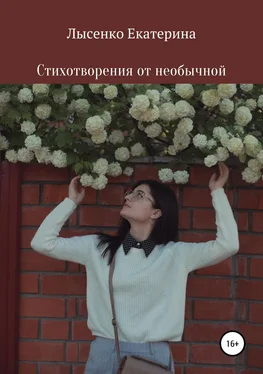 Екатерина Лысенко Стихотворения от необычной обложка книги