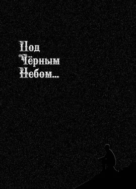 Андрей Русанов Под черным небом обложка книги