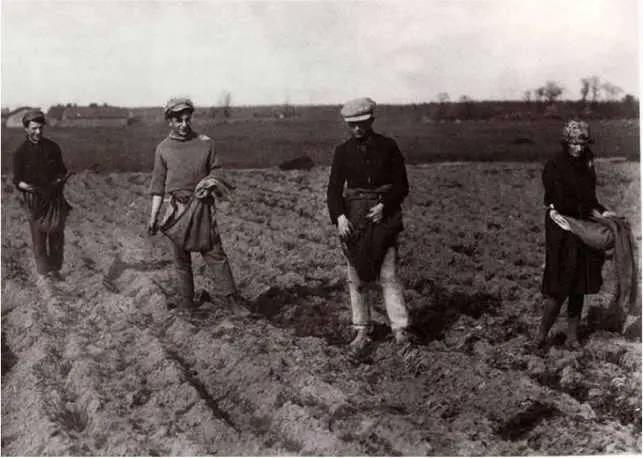 Под Варшавой 1927 год Евреи организовали коммуну Печка и мама Фото Альтера - фото 8