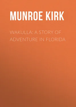 Kirk Munroe Wakulla: a story of adventure in Florida обложка книги