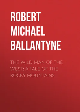 Robert Michael Ballantyne The Wild Man of the West: A Tale of the Rocky Mountains обложка книги