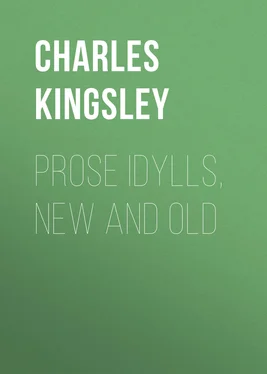 Charles Kingsley Prose Idylls, New and Old обложка книги