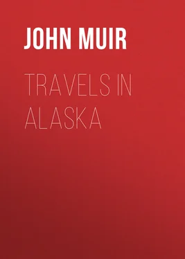 John Muir Travels in Alaska обложка книги