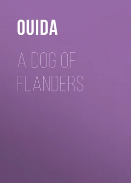 Ouida A Dog of Flanders обложка книги