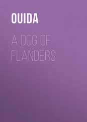 Ouida - A Dog of Flanders