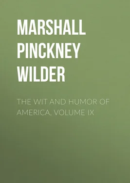 Marshall Pinckney Wilder The Wit and Humor of America, Volume IX обложка книги