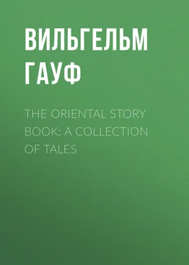 Вильгельм Гауф The Oriental Story Book: A Collection of Tales обложка книги