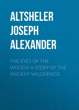 Joseph Altsheler The Eyes of the Woods: A Story of the Ancient Wilderness обложка книги