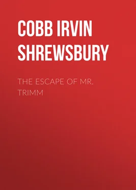 Irvin Cobb The Escape of Mr. Trimm обложка книги