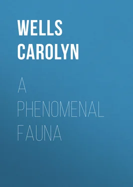 Carolyn Wells A Phenomenal Fauna обложка книги