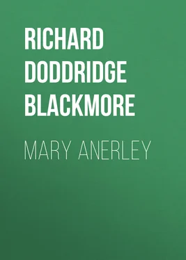 Richard Doddridge Blackmore Mary Anerley обложка книги