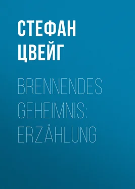 Стефан Цвейг Brennendes Geheimnis: Erzählung обложка книги