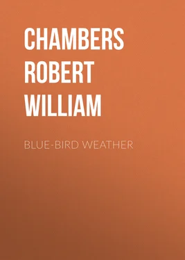 Robert Chambers Blue-Bird Weather обложка книги