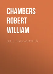 Robert Chambers - Blue-Bird Weather