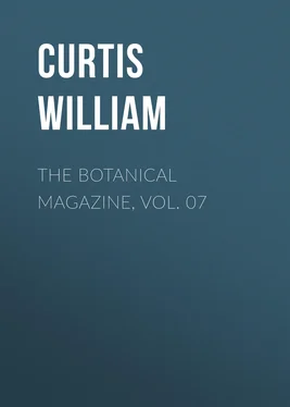 Curtis William The Botanical Magazine, Vol. 07 обложка книги