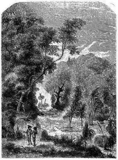 Sépultures australiennes dans les boisDessin de Lancelot daprès Mitchell - фото 2