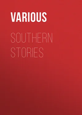 Various Southern Stories обложка книги