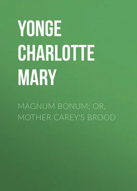 Charlotte Yonge Magnum Bonum; Or, Mother Carey's Brood обложка книги
