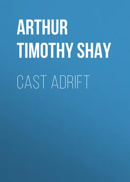 Timothy Arthur Cast Adrift обложка книги