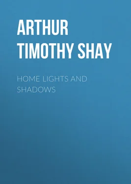 Timothy Arthur Home Lights and Shadows обложка книги