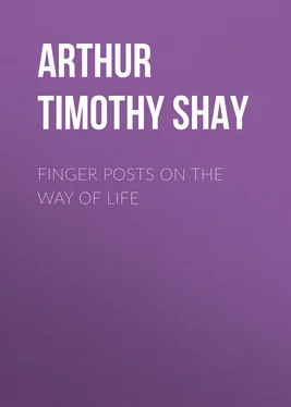 Timothy Arthur Finger Posts on the Way of Life обложка книги